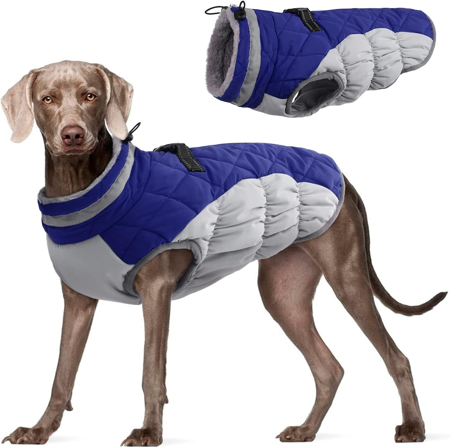 Premium Waterproof Winter Dog Jacket (Fleece-Lined)