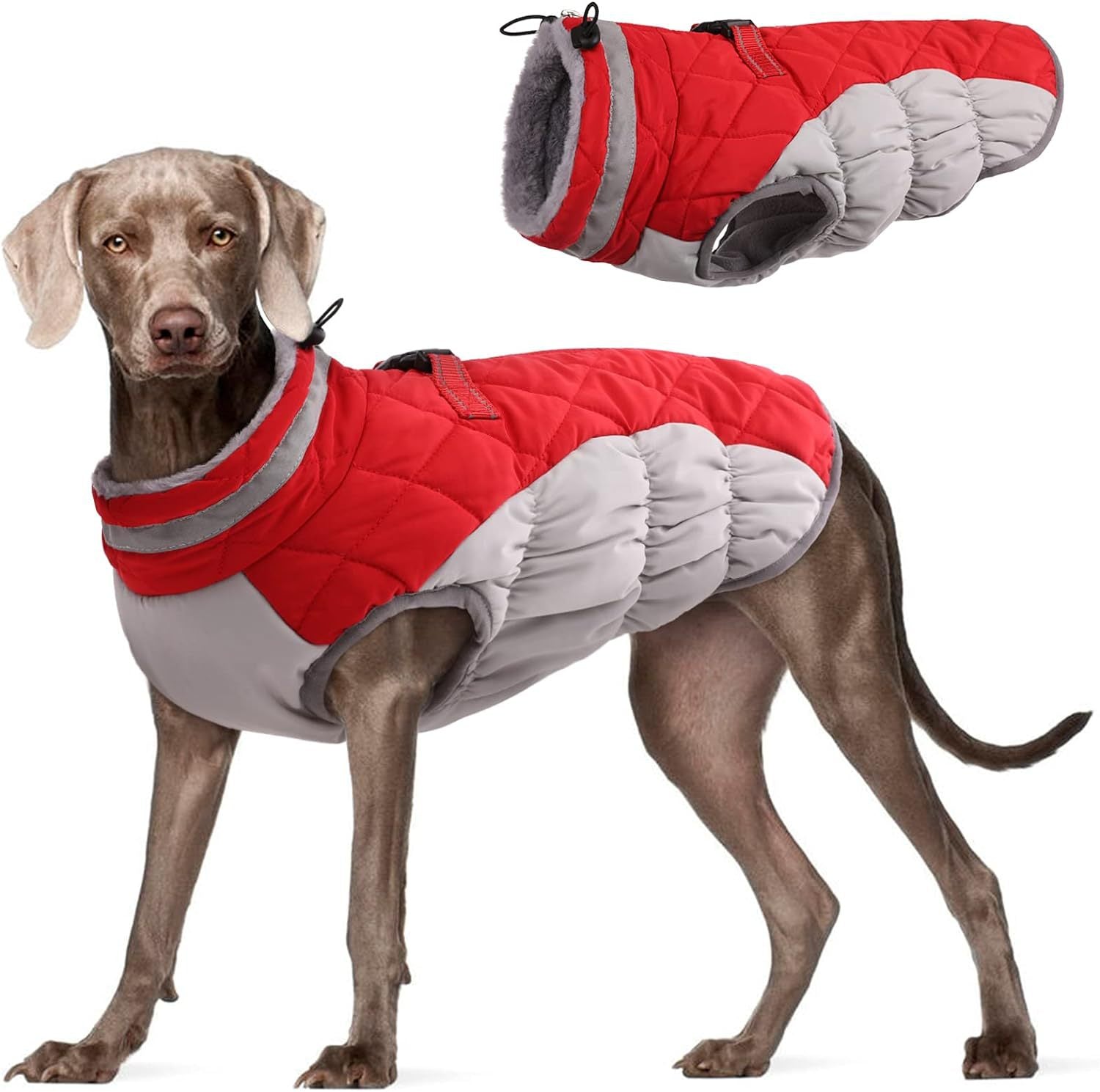Premium Waterproof Winter Dog Jacket (Fleece-Lined)