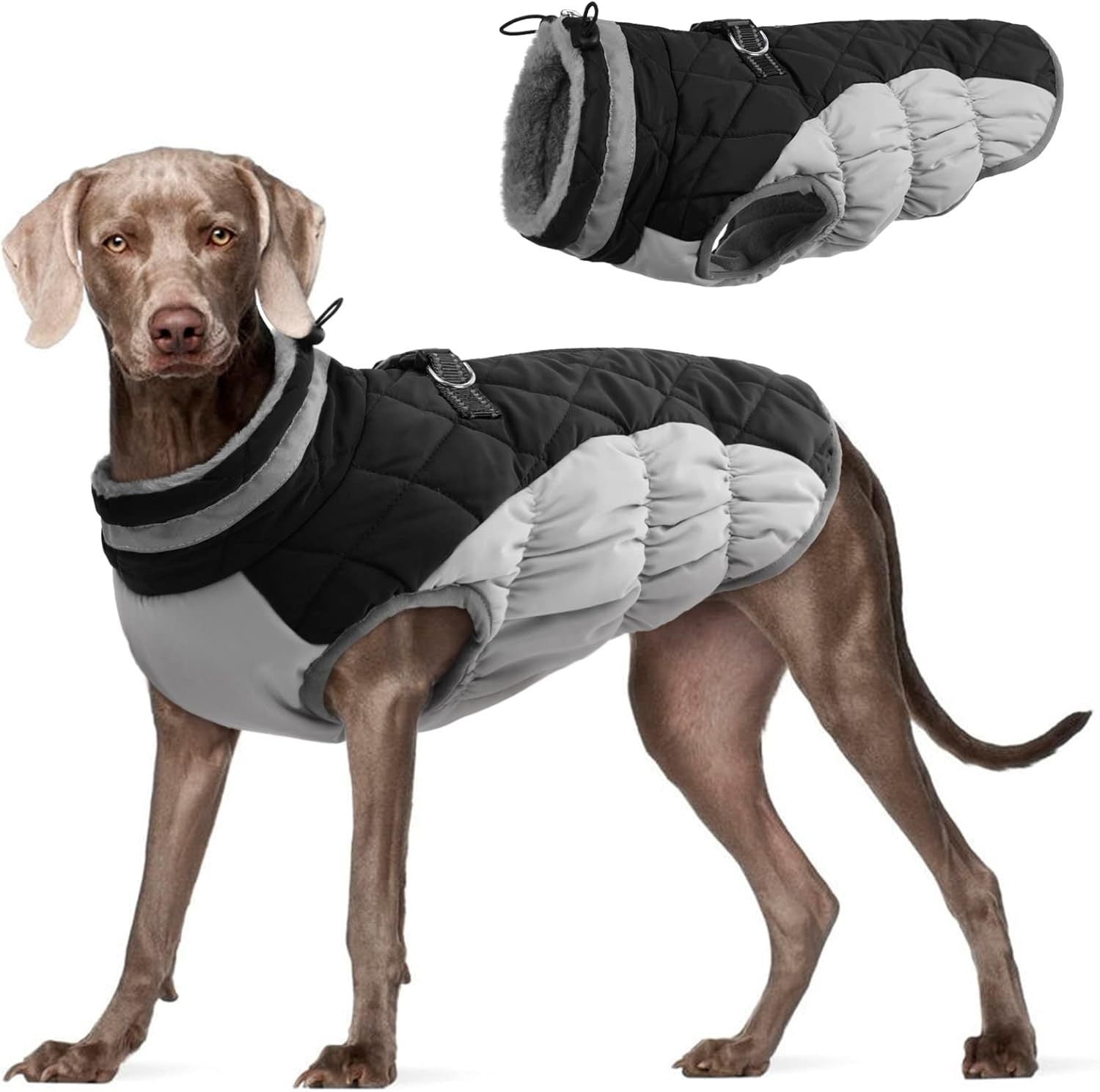Premium Waterproof Winter Dog Jacket (Fleece-Lined)