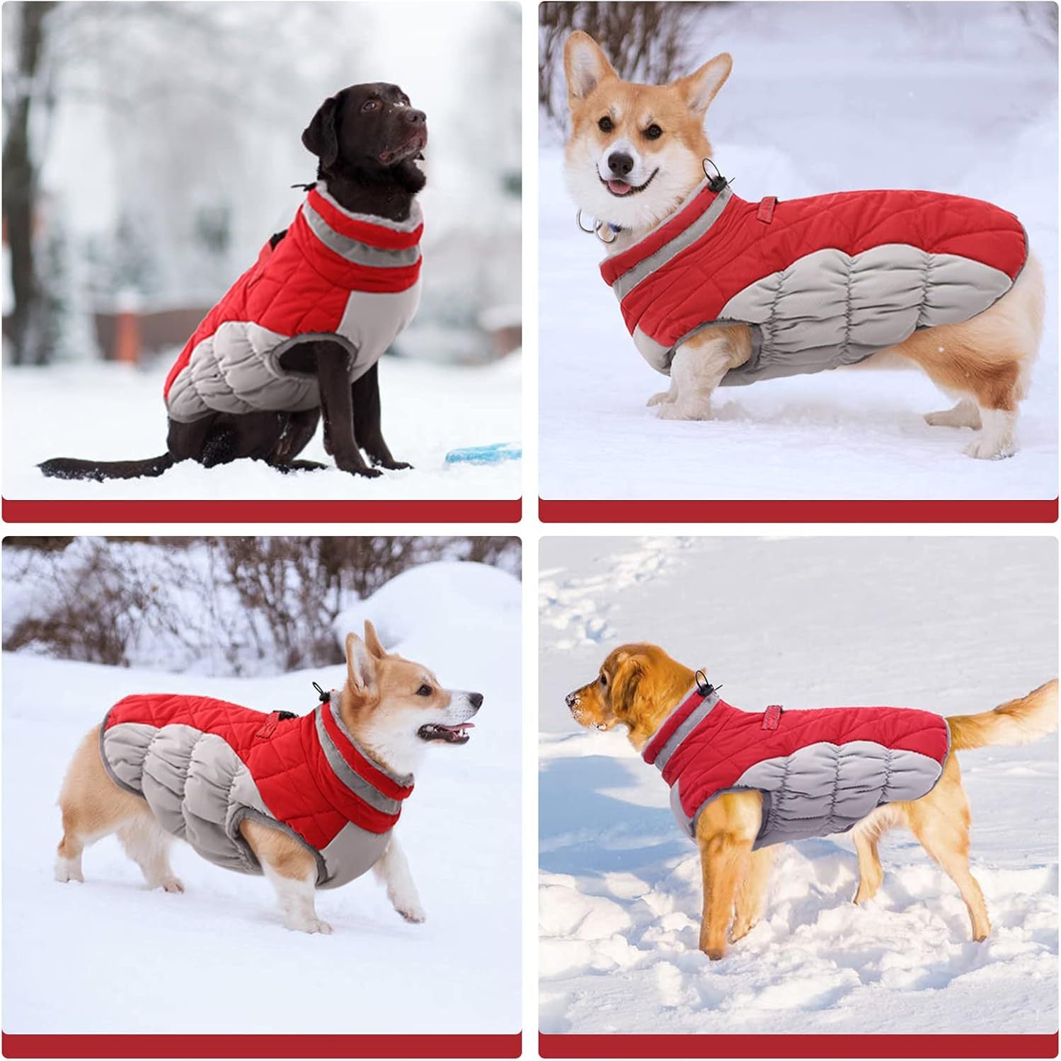 Premium Waterproof Winter Dog Jacket (Fleece-Lined)